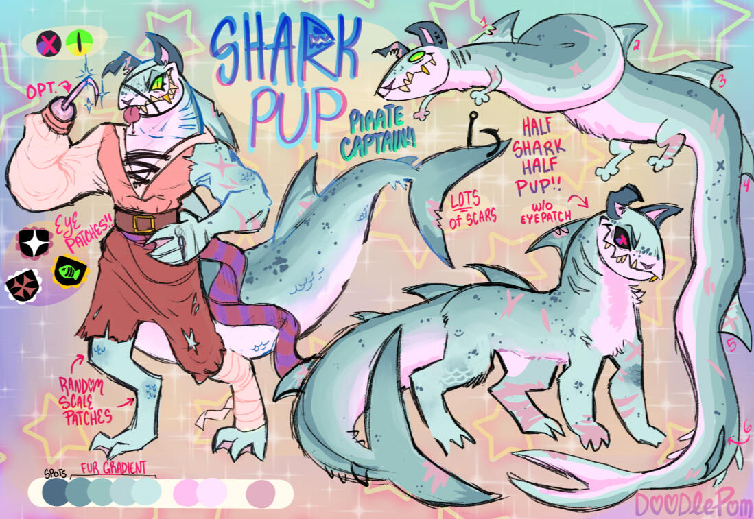 Shark pup pirate! Shark pup pirate!