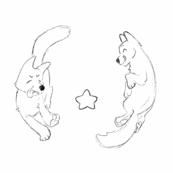 theyre circling